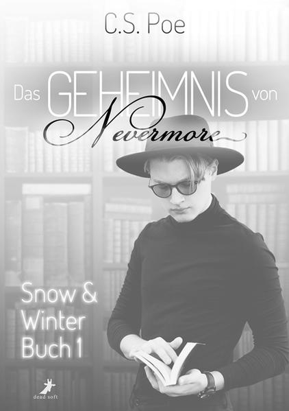 Das Geheimnis von Nevermore | Gay Books & News