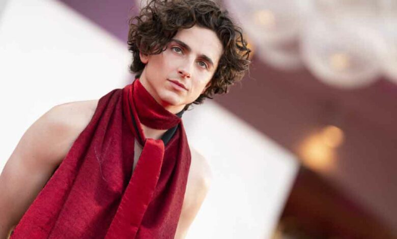 Timothee Chalamet bei den 79. Internationalen Filmfestspiele von Venedig im Palazzo del Casino im Lido von Venedig, Italien. KAREN DI PAOLA / Agentur Anadolu (Foto von KAREN DI PAOLA / ANADOLU AGENCY / Anadolu Agency via AFP)